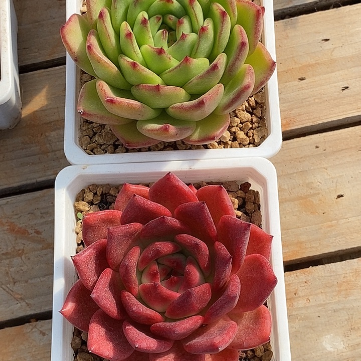 A***装东云福利大漏14           