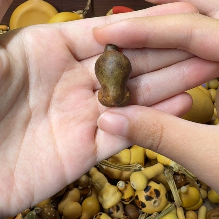 葫芦葫芦葫芦葫芦