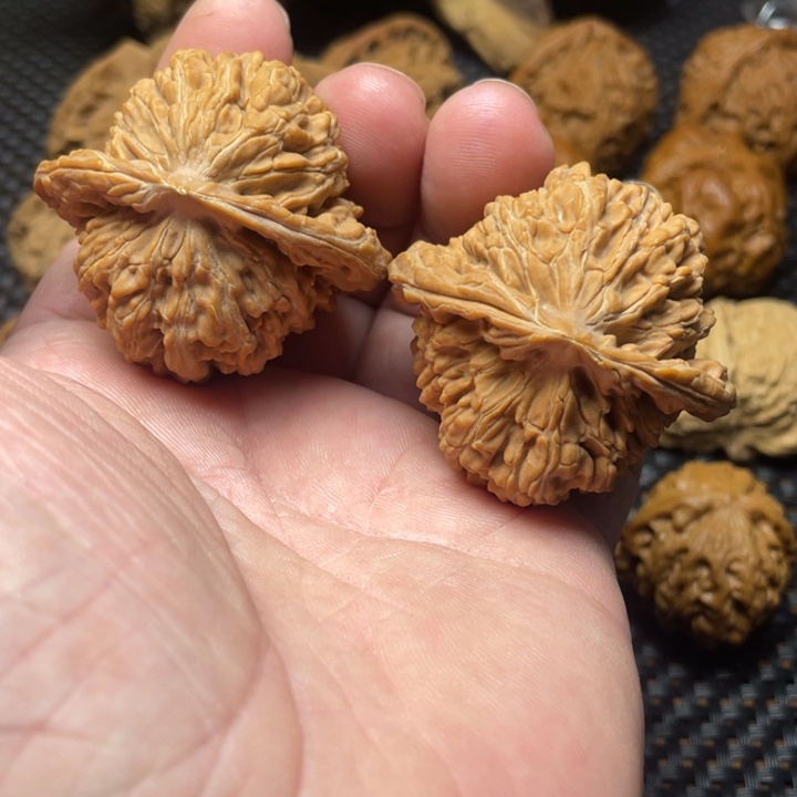 核桃46全品四座楼