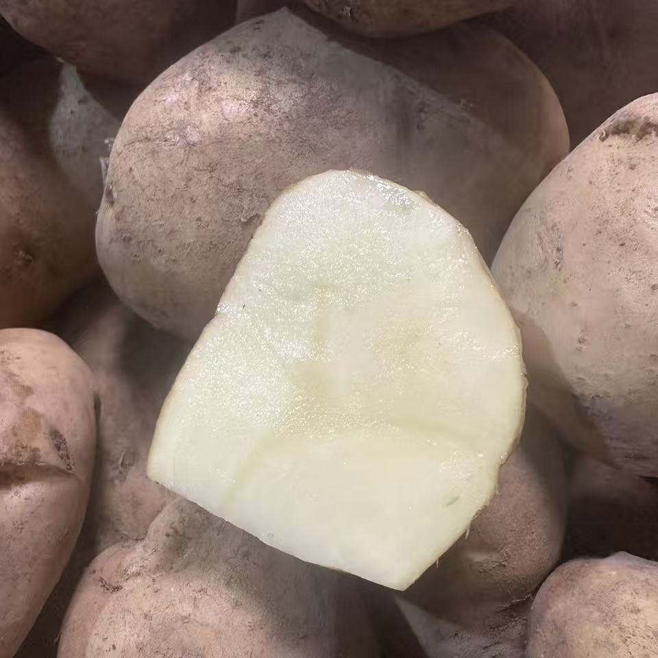 云南老品种黄心洋芋新鲜当季粉糯马铃薯