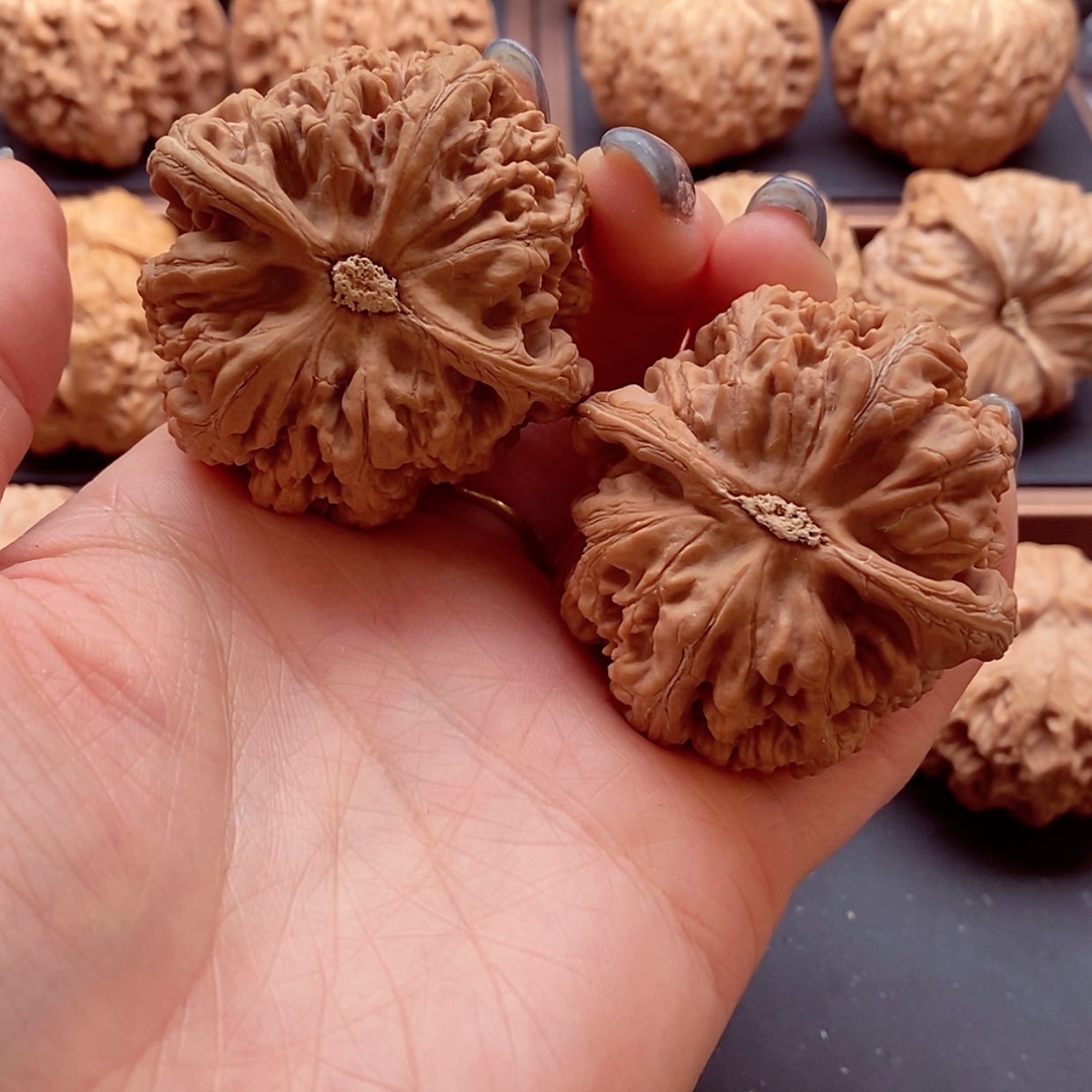 【闪购商品】把件文玩核桃谋****尘粗筋46，小水尖