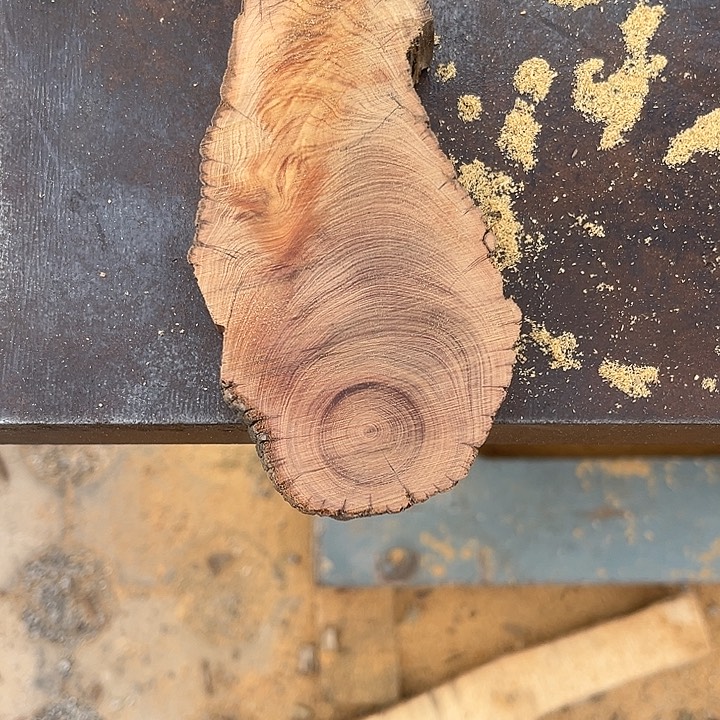 侯***业柏木南太行崖柏切片