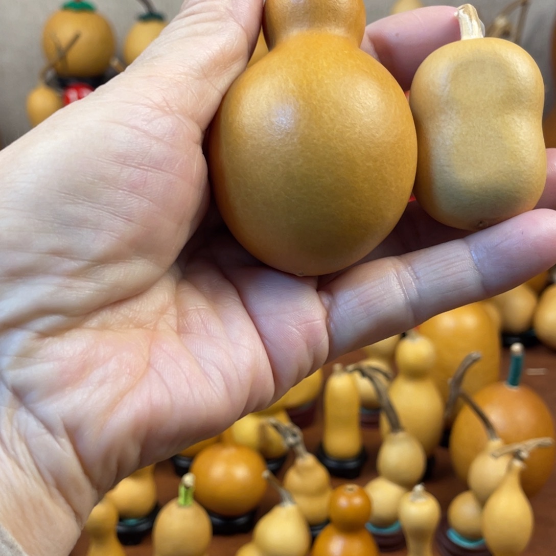 七***码葫芦哈哈哈哈哈哈哈哈