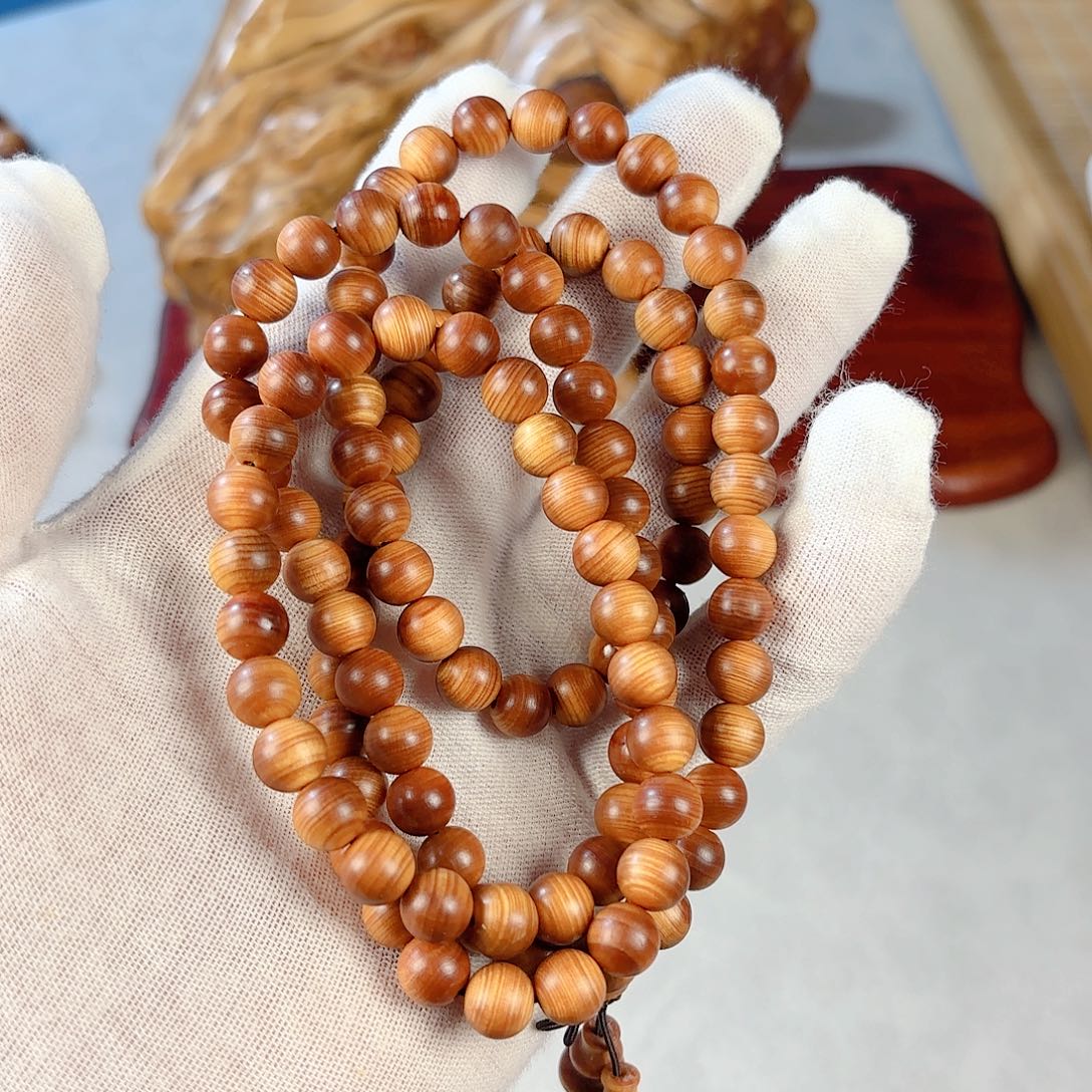 柏木橘***5柏韵太行0.8x108橘子50