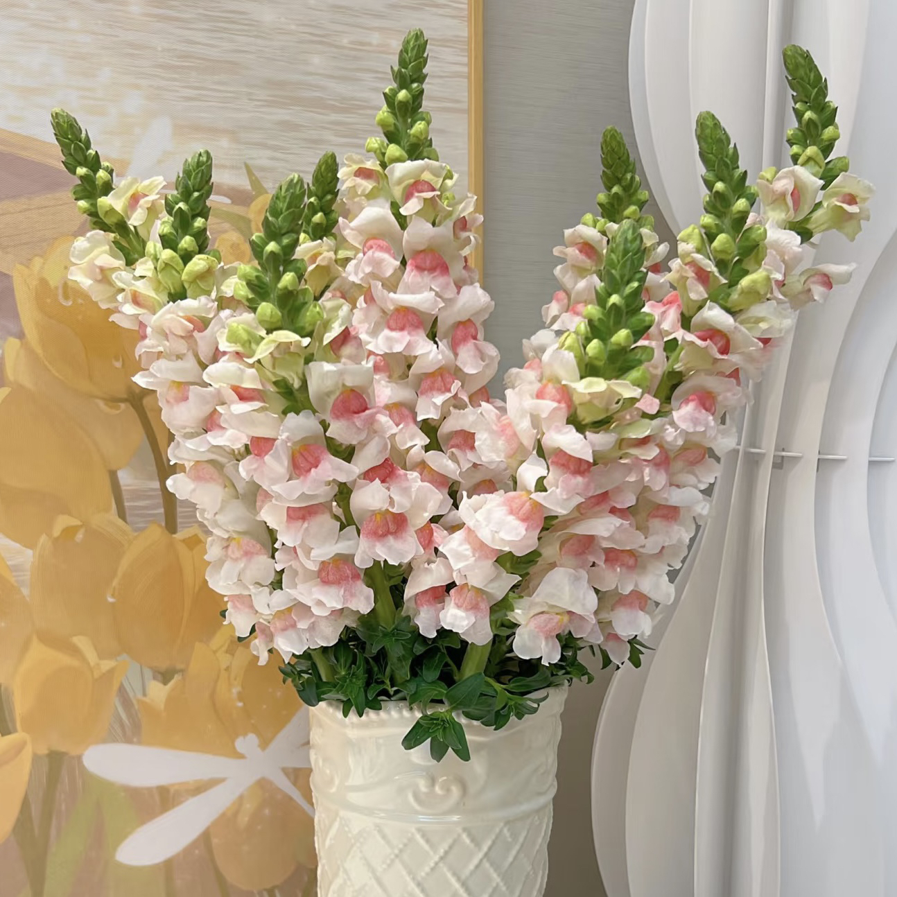 樱花粉金鱼草 鲜花稀有小众家居水养插花高端花材