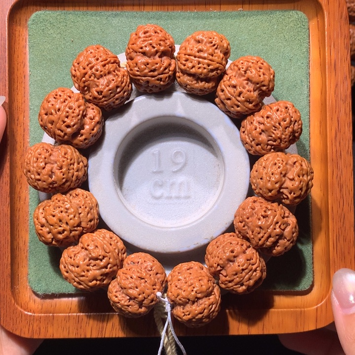 手串金刚菩提24+麒麟梅花