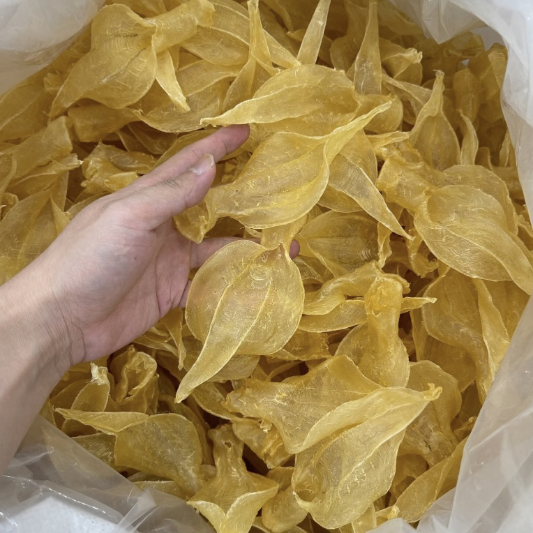 白花胶鱼胶花胶精选