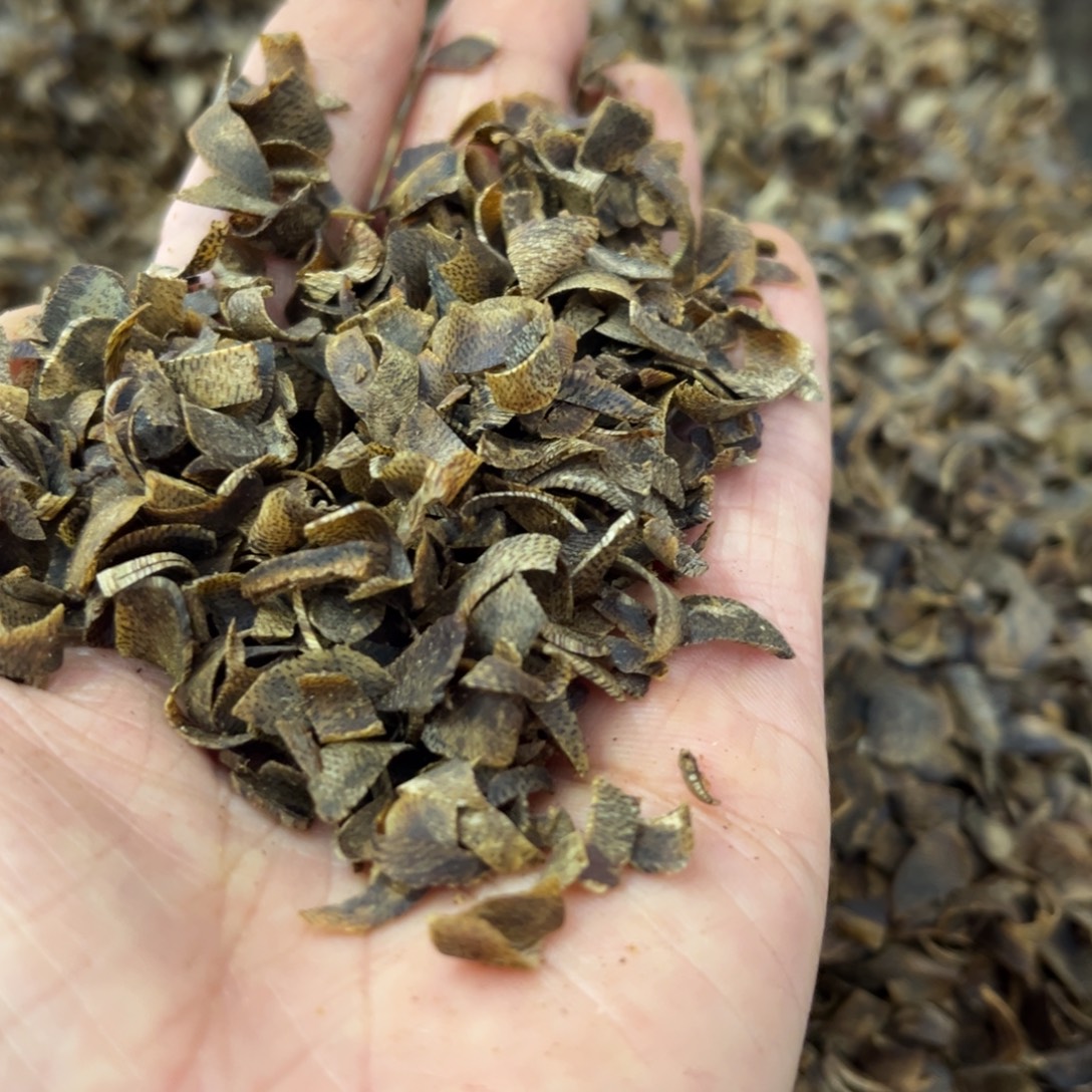 ****5沉香摆件沉香棋楠切片100