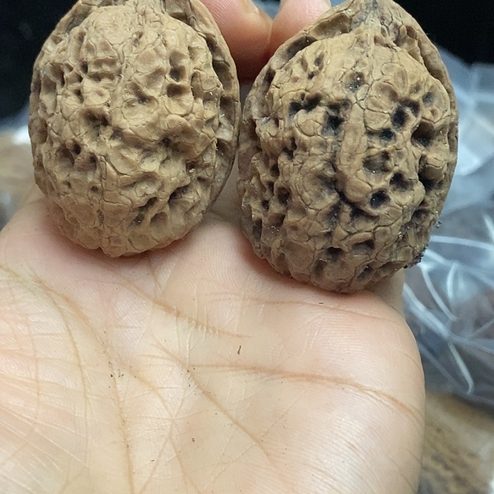 把件文玩核桃云南铁核桃基地72