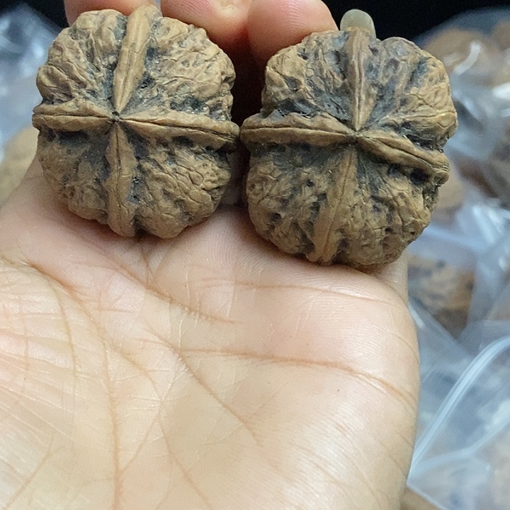 文玩核桃把件云南铁核桃基地34