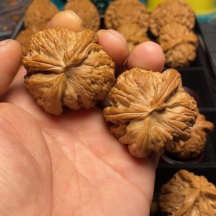 y***.把件文玩核桃白狮子