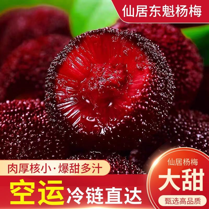 仙居杨梅正宗仙居荸荠杨梅6斤当季新鲜发货水果现摘现发顺丰直达