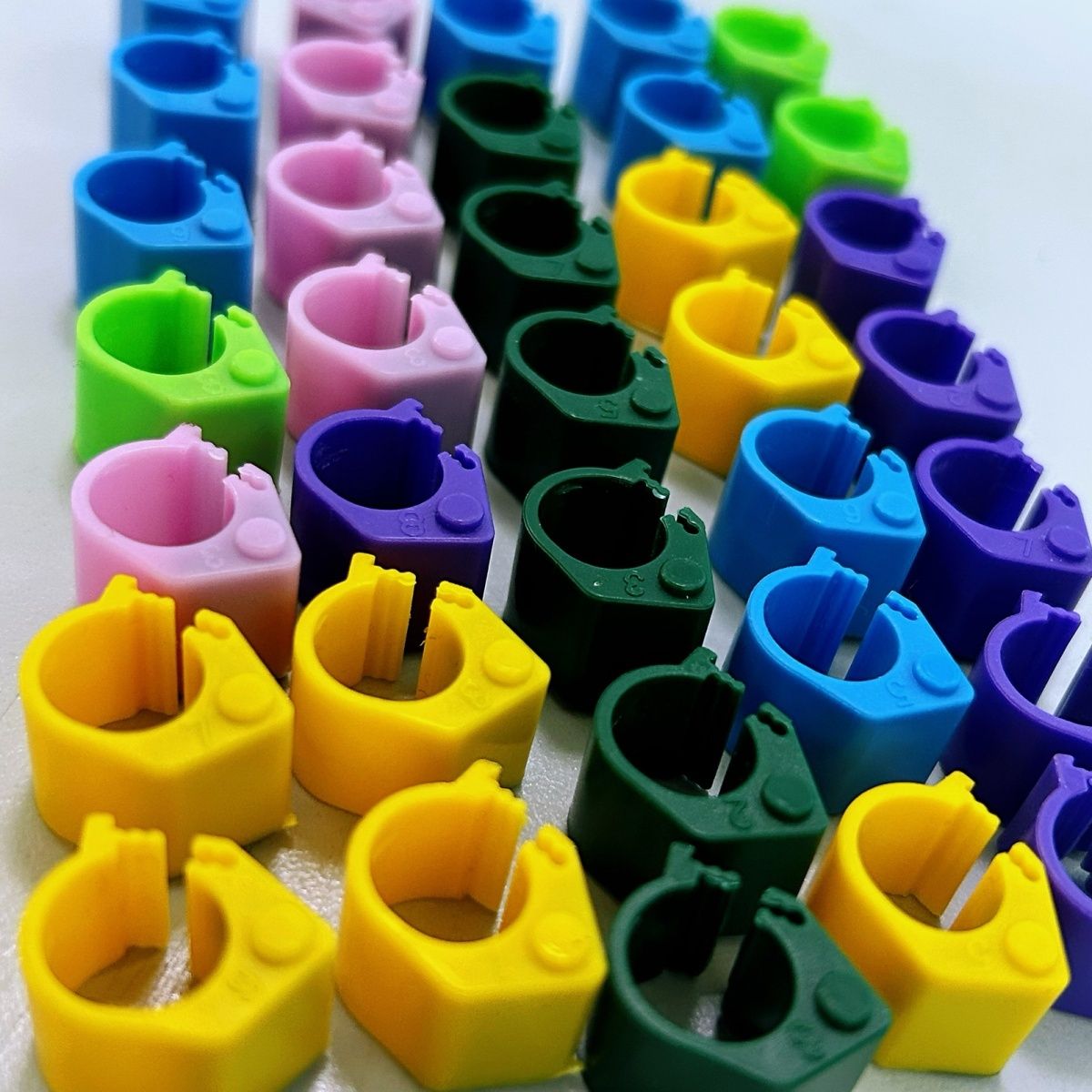 带芯片电子环信鸽足环塑料卡环非专用环赛鸽环鸽子脚环