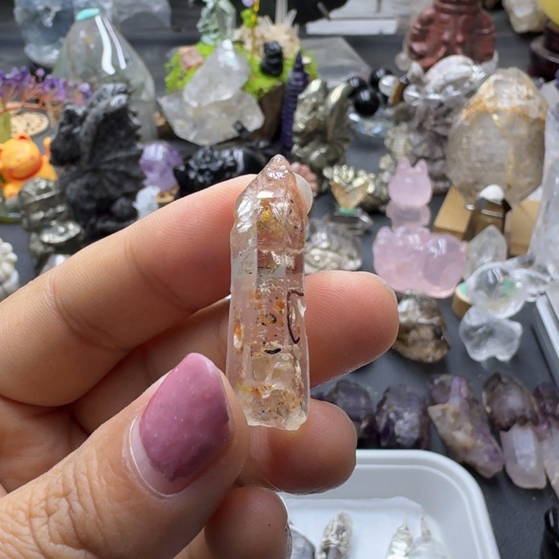 鱻***生红泥骸骨带油胆包