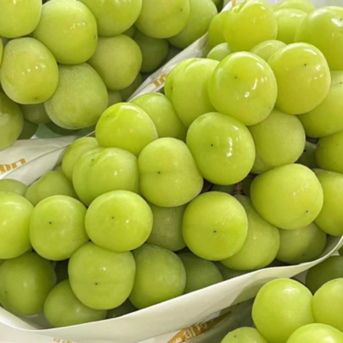 【年货节】晴王阳光玫瑰青提一箱99