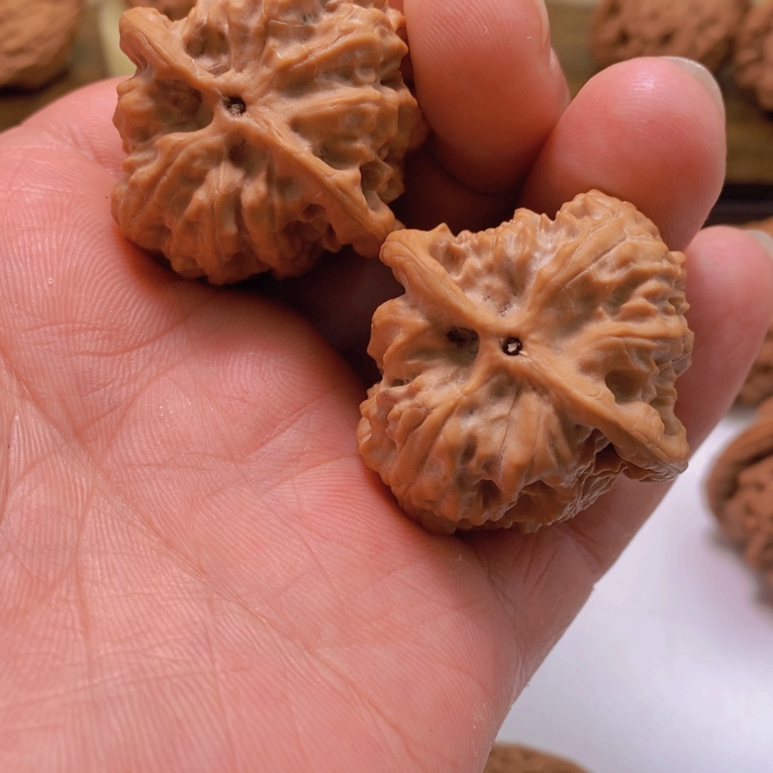 文玩核桃把件或*文玩核桃野狼