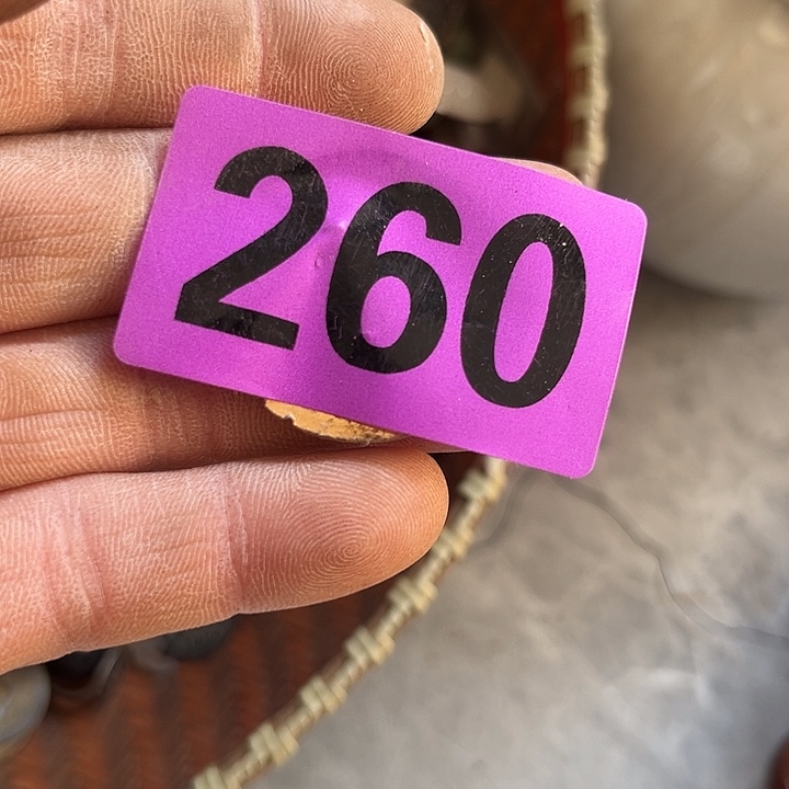 眷***属杂色豆（科檀/科特迪瓦檀木）