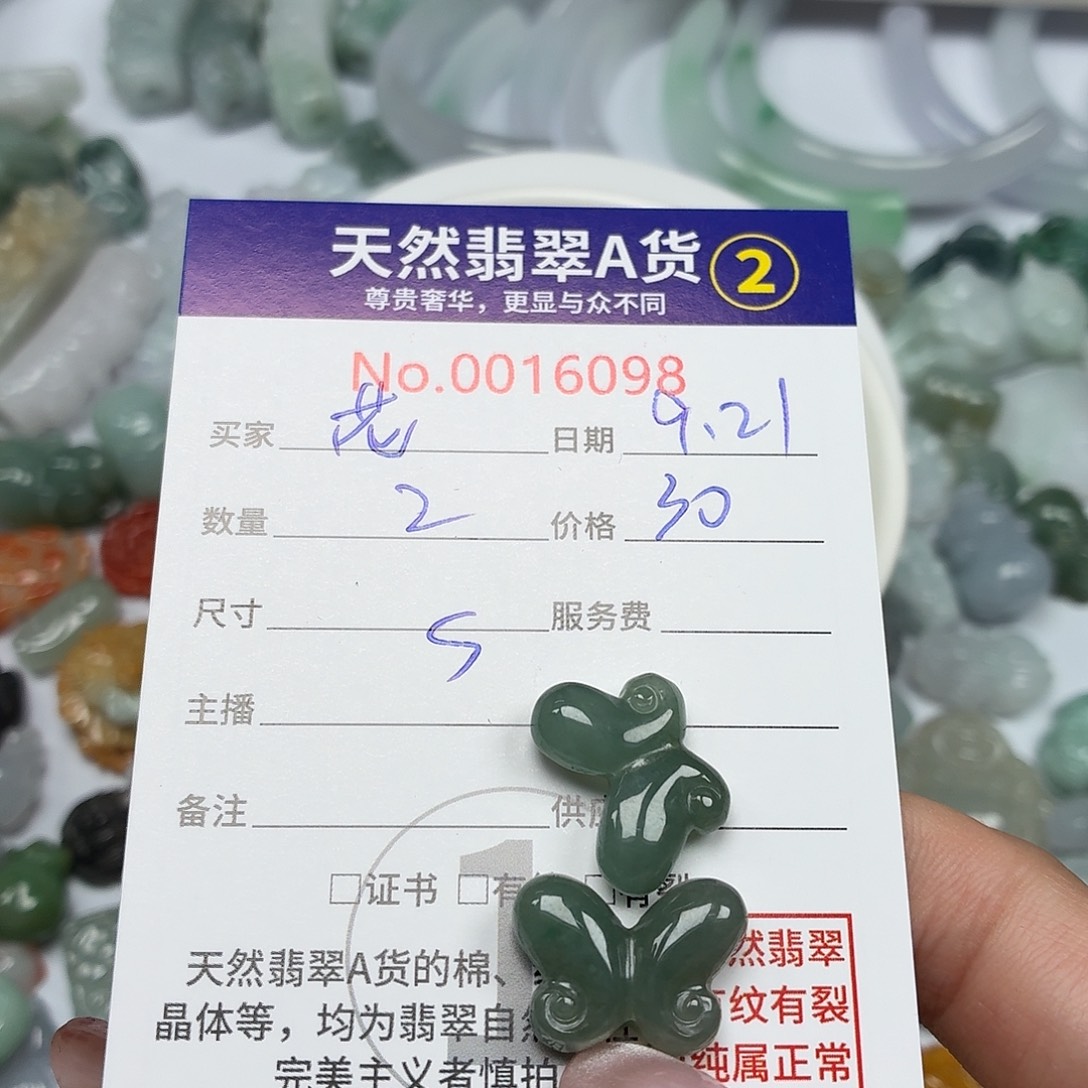 *****颈饰未镶嵌翡翠We
