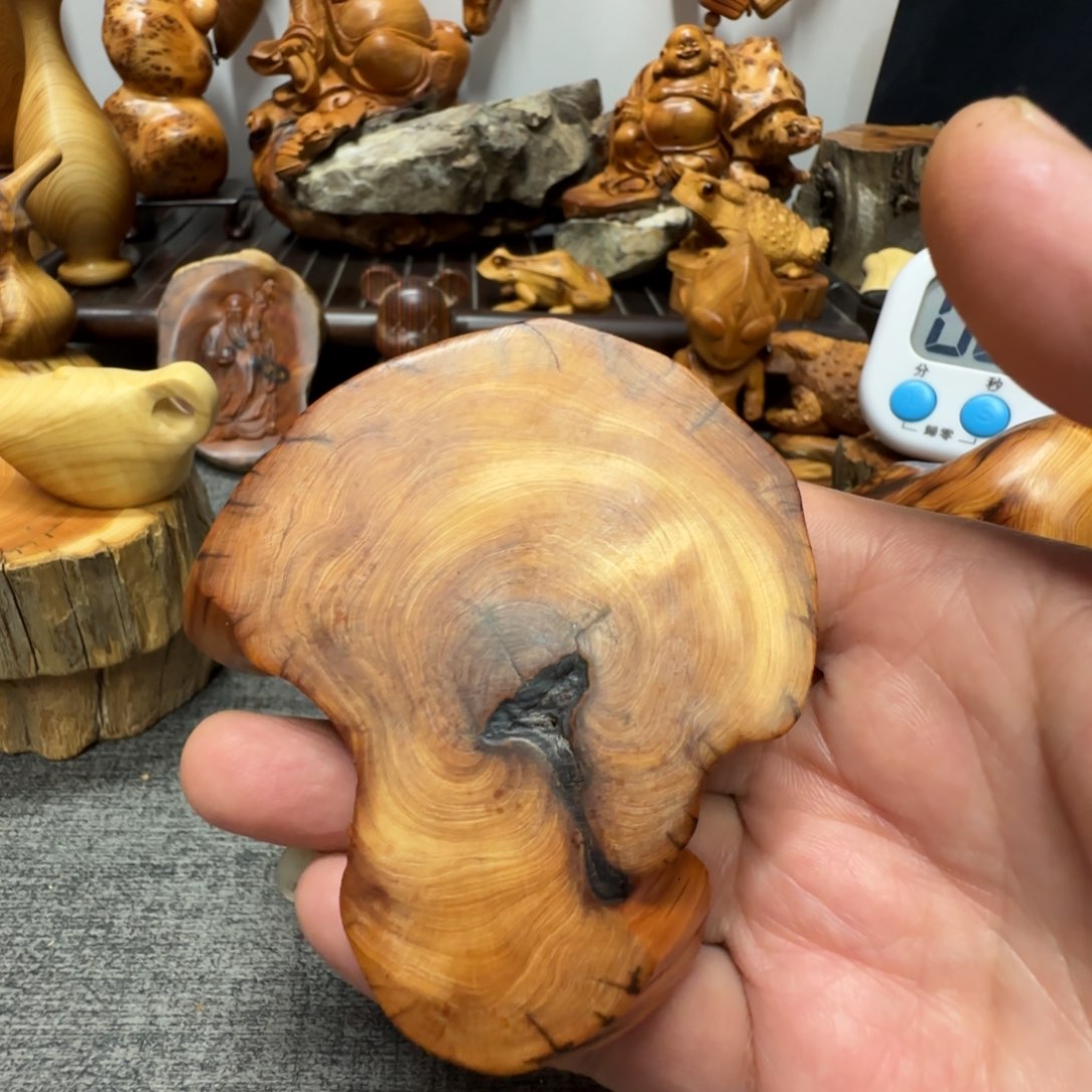 柏木（崖柏）我们都是好孩子呀我也