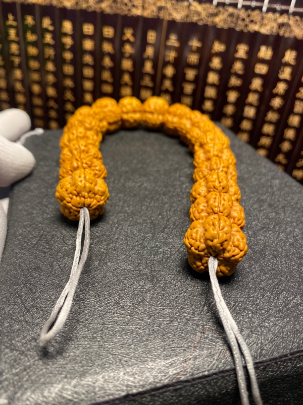 绝情帝王花（4号）