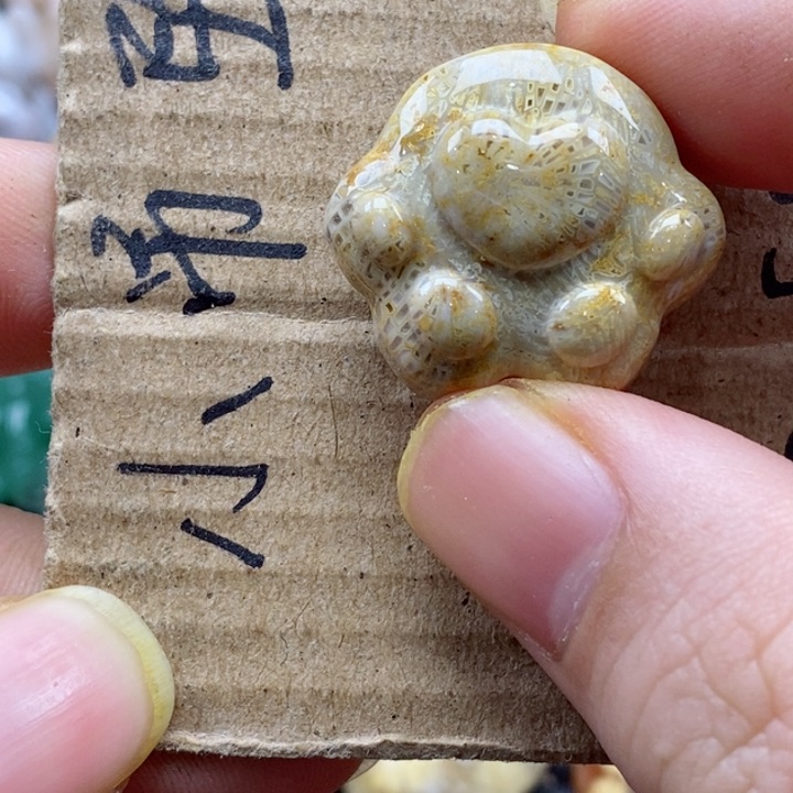 硅化珊瑚（珊瑚玉）颈饰未镶嵌