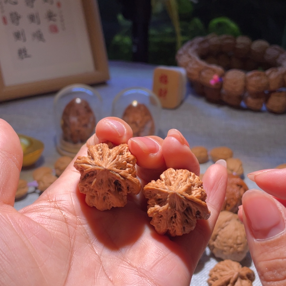 桃核把件舞*婷全品野生粗筋