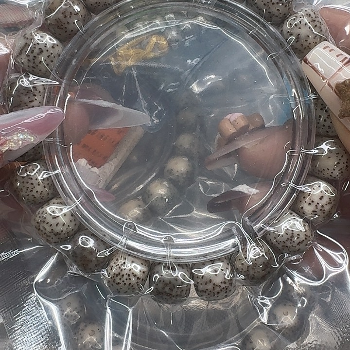 星月菩提手串576入门炮灰星月菩提11桶单圈