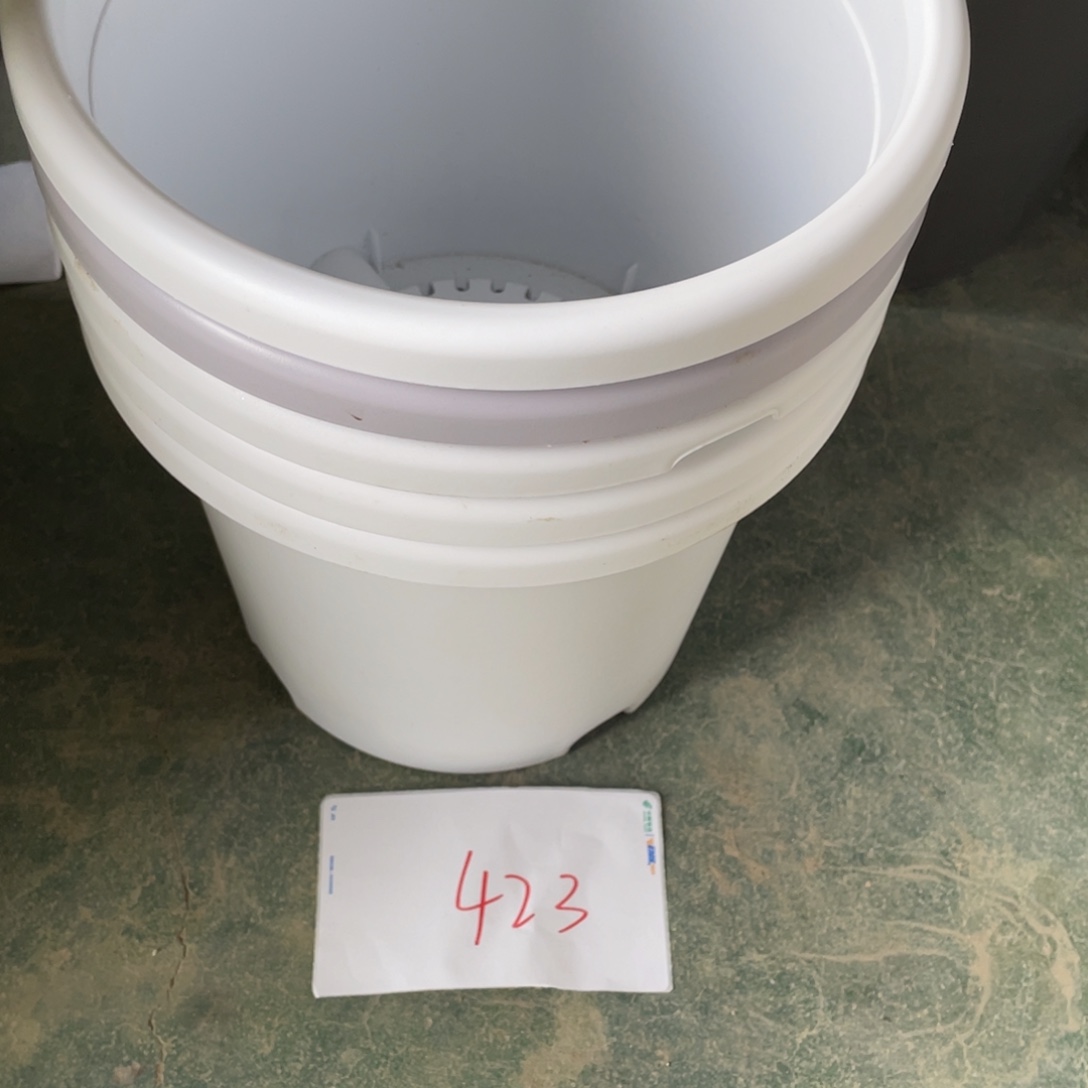 编号是423号的423号的