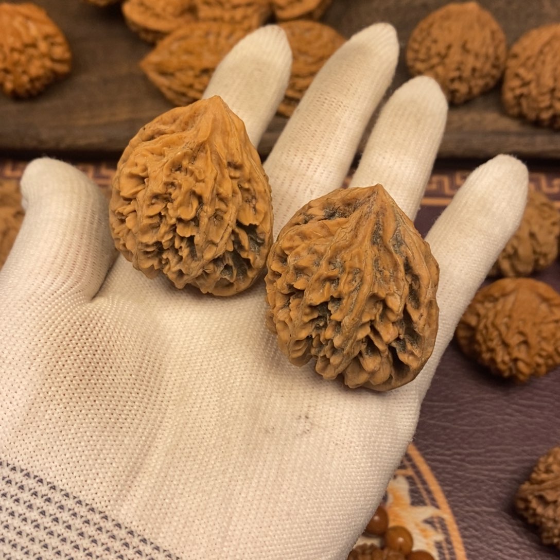 秦岭野生核桃公子