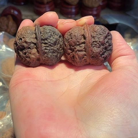 文玩核桃把件黑山老蟾磕尖阴皮39+