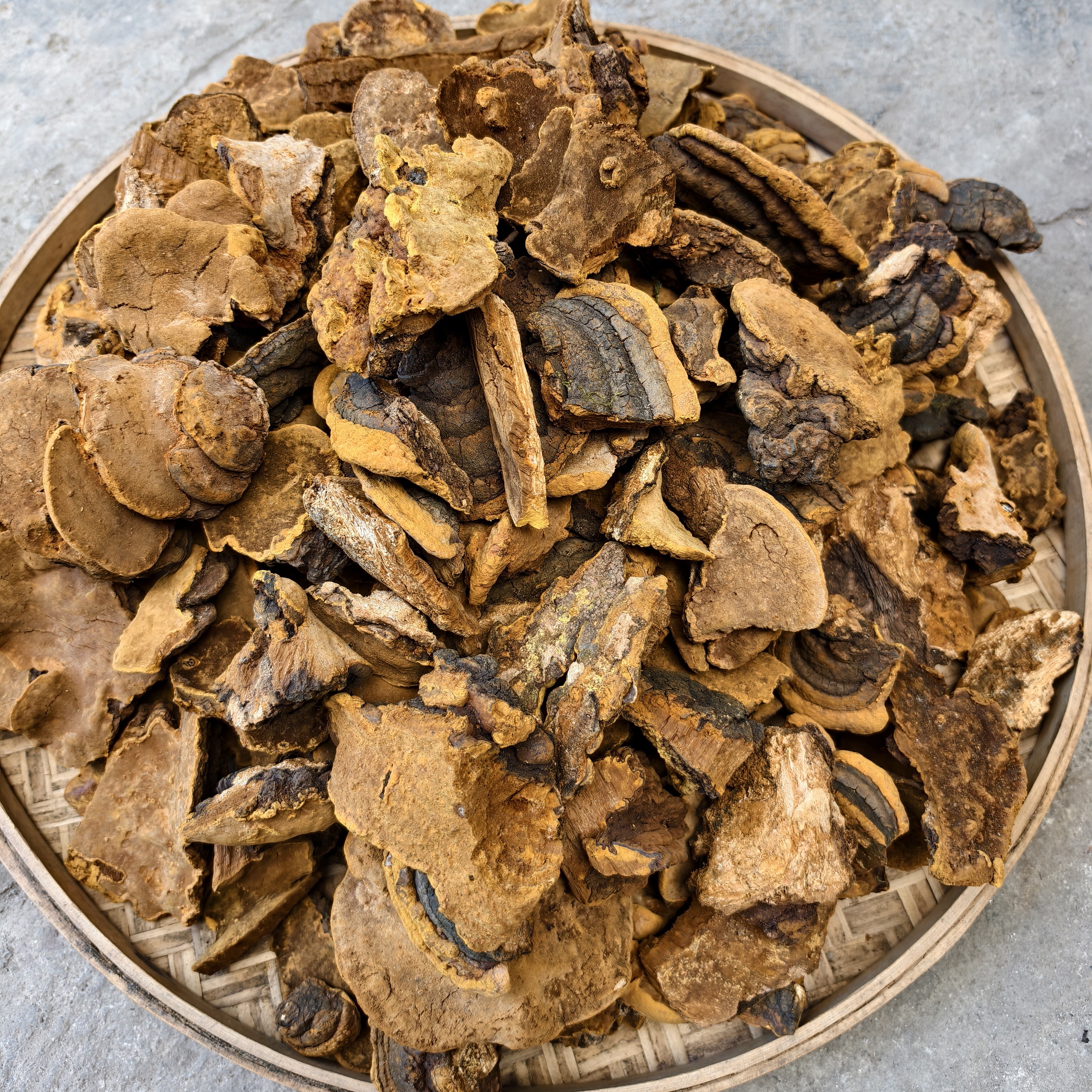 【云南特产】正宗桑芝芝菌菇搭配枸杞煲水煲汤泡酒500g金豆