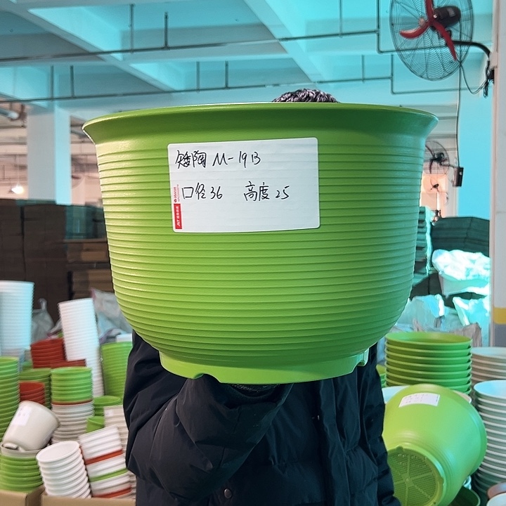 正品矮陶口36高25果绿无托3只