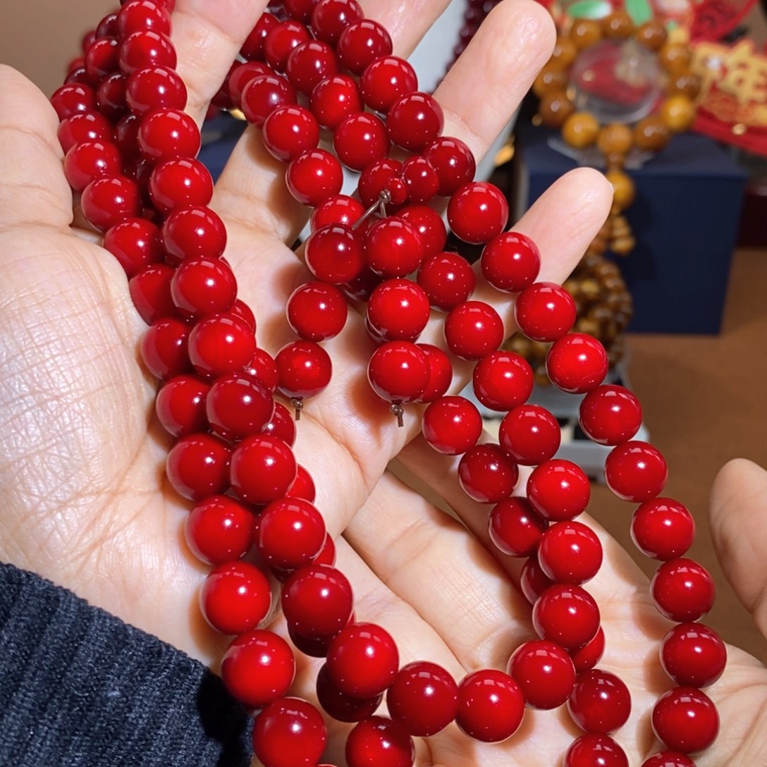 贝壳杉聚*缘帝王血龙木1.0