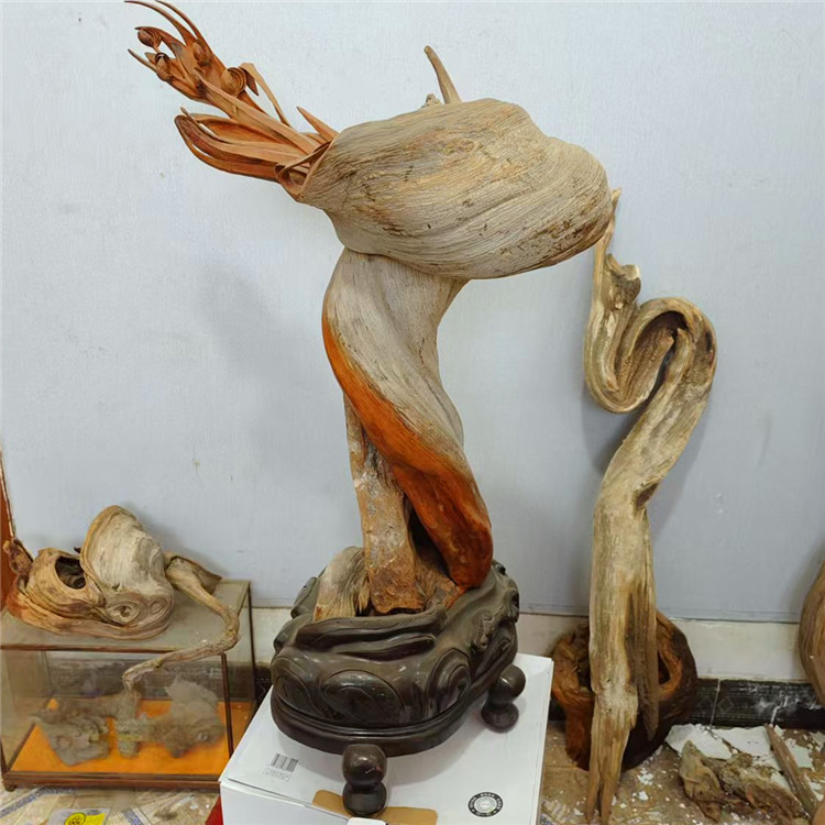 太行山悬崖上的柏木陈化料双色料瘤花料手把件摆件