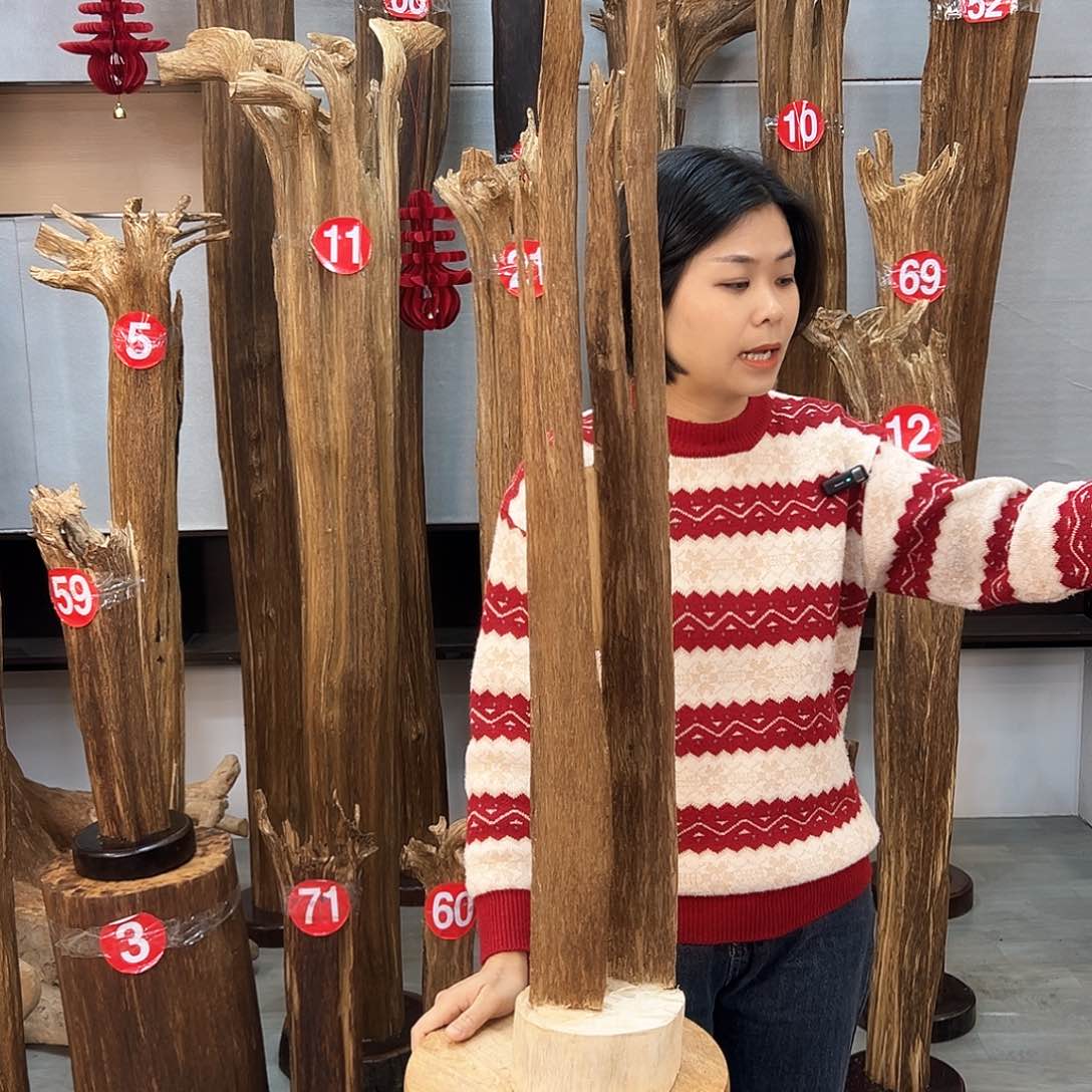 沉香摆件海南沉香摆件