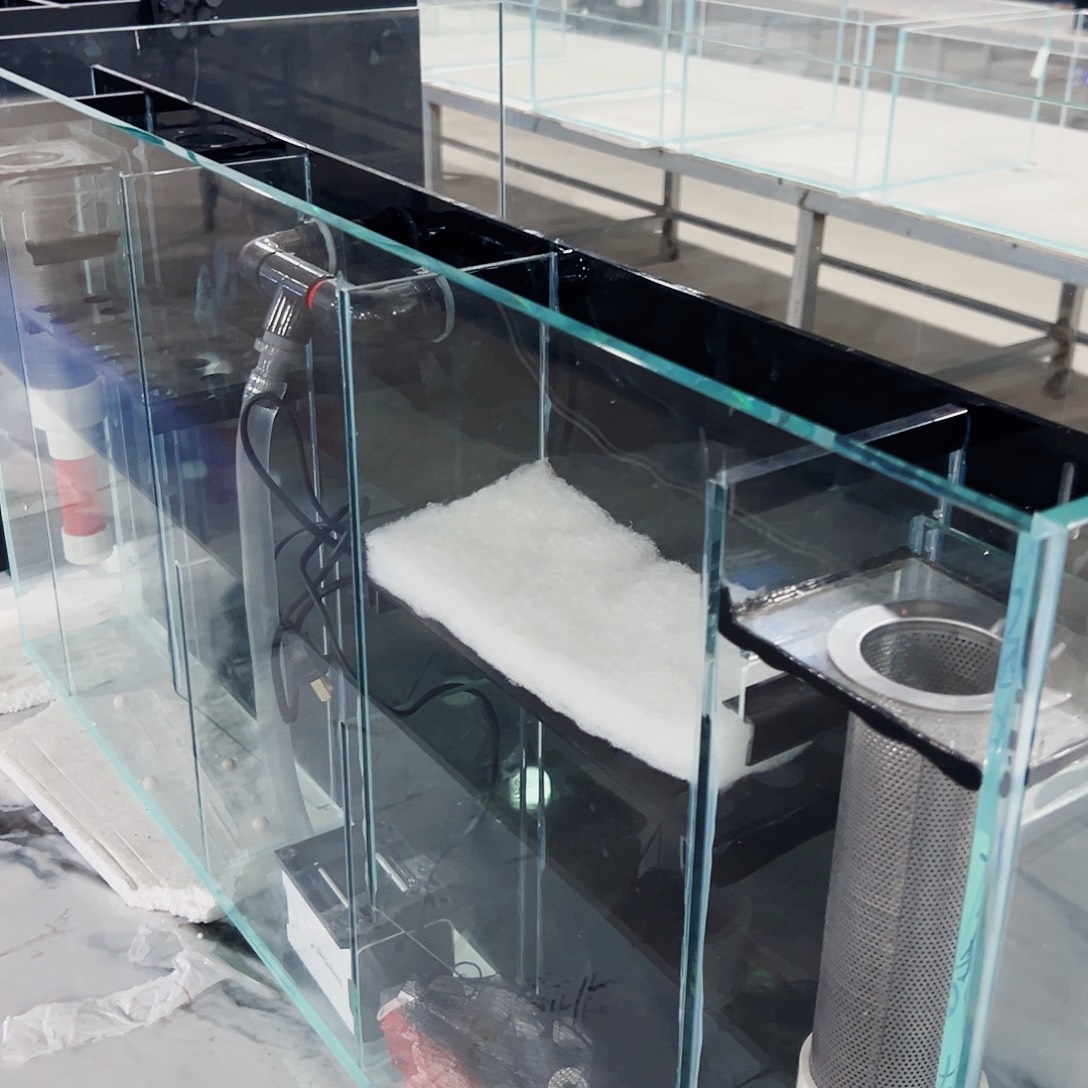 ℋ***࿐玻璃100、50.50背双鱼新款全套配件