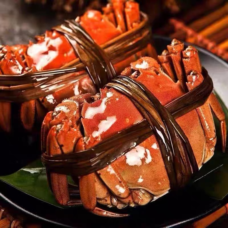 【活蟹】全母蟹大闸蟹3.8-3.5两8只/10只