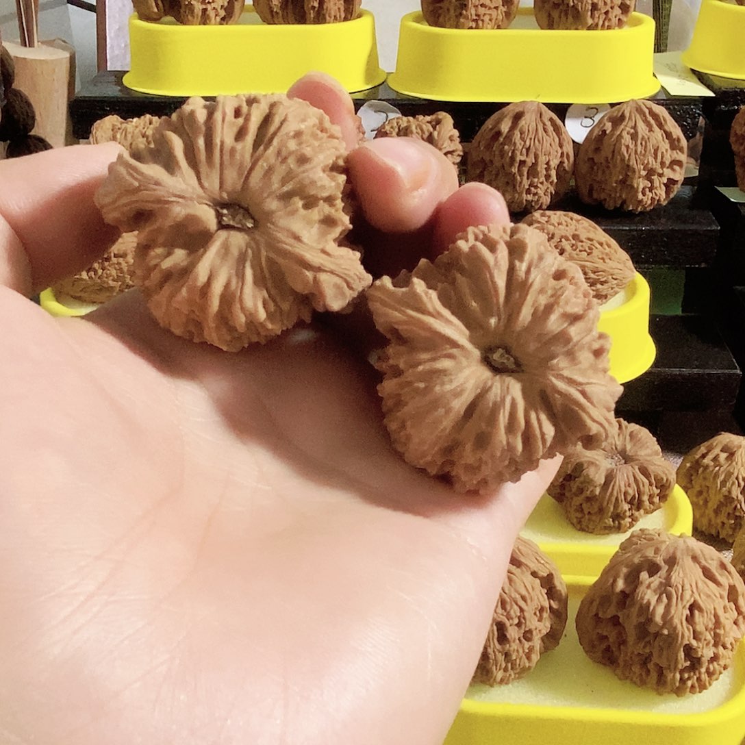 木质类今天是不是要来