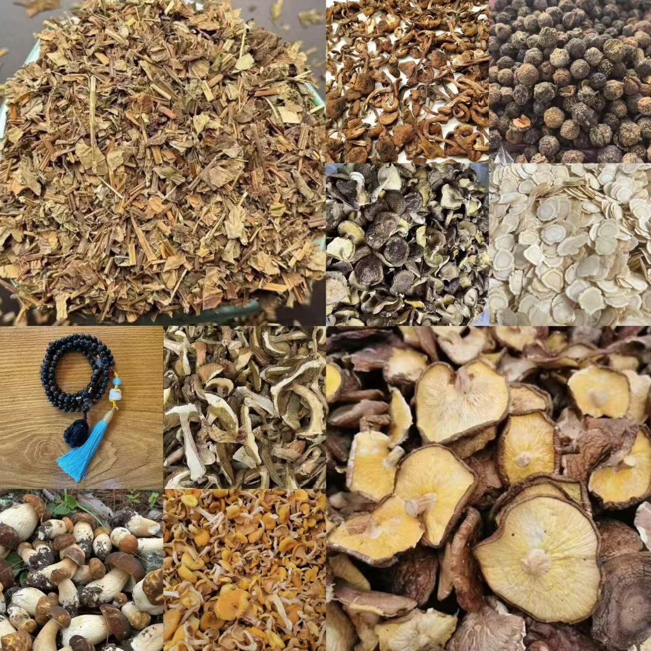 FYH192土特产菌/多样性发货