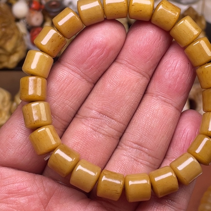 驼骨摆件人工养殖