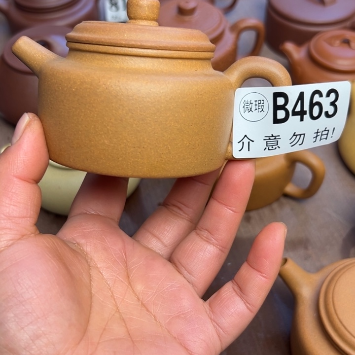 紫砂茶壶坐****儿黄金段半手工160cc