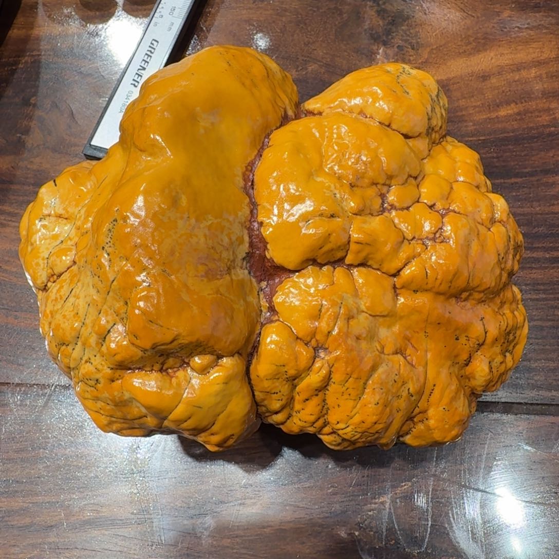 彩***云昌化石印石奇石摆件