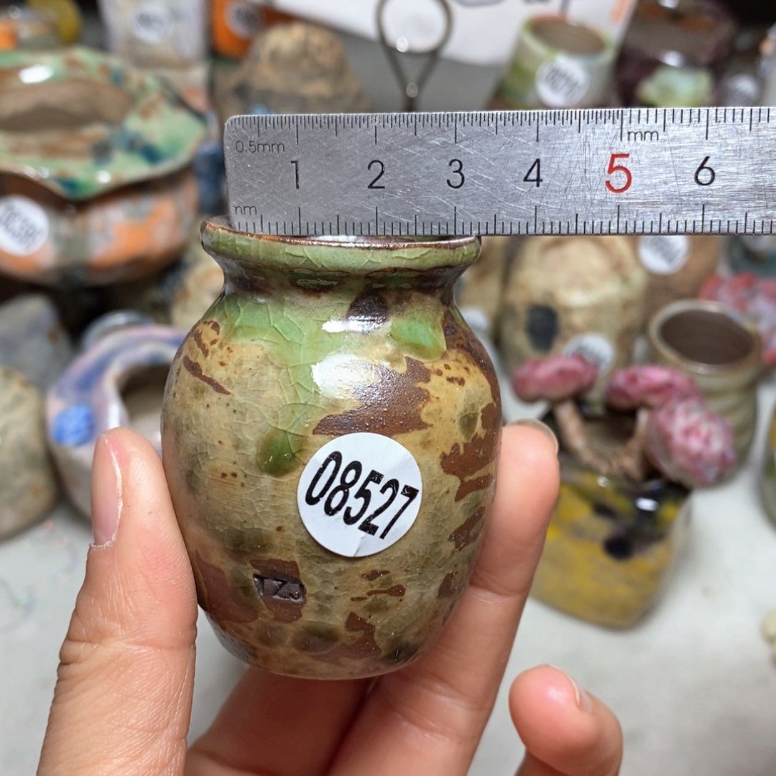 花盆拍5送一个小礼物