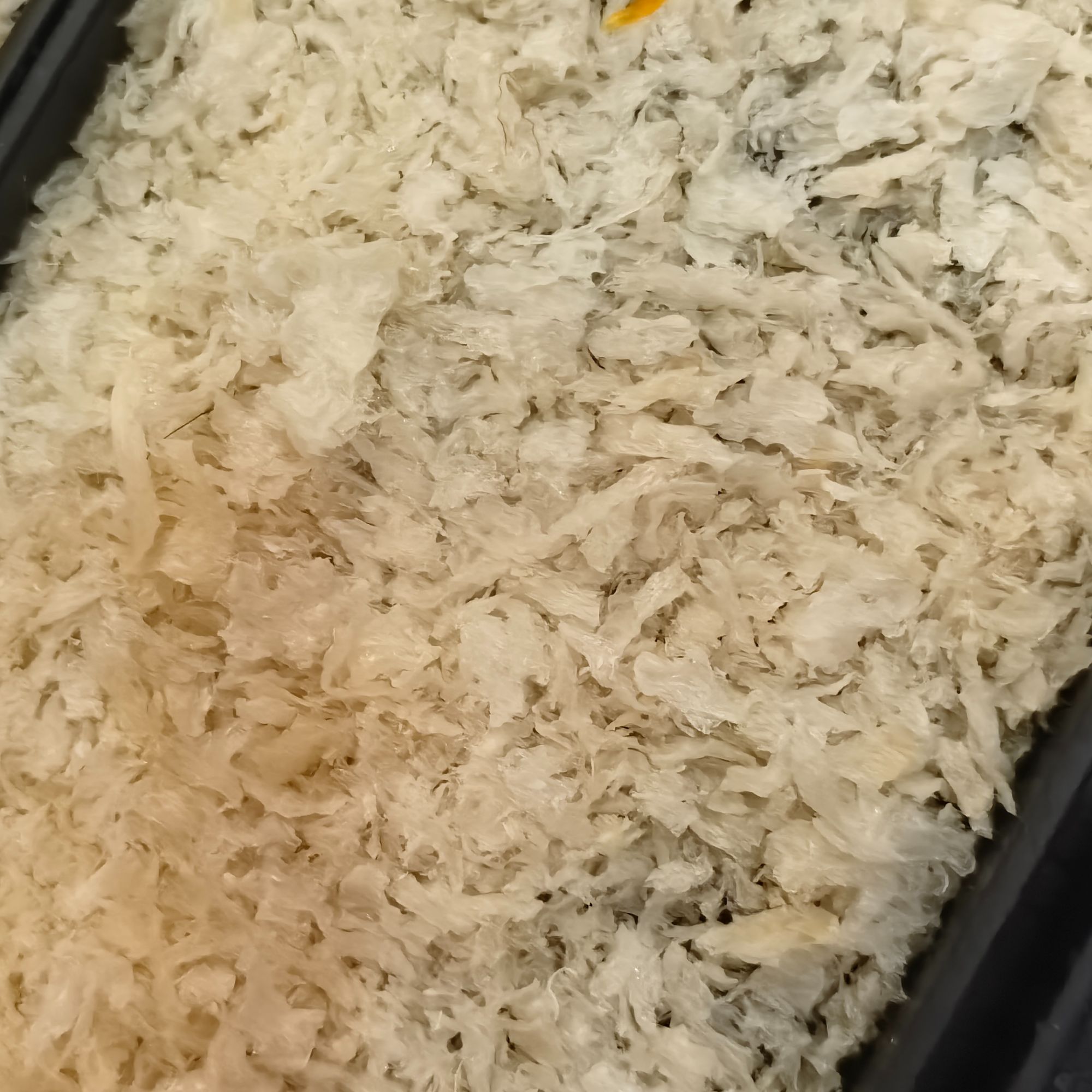 【燕肉丝】现场称克重