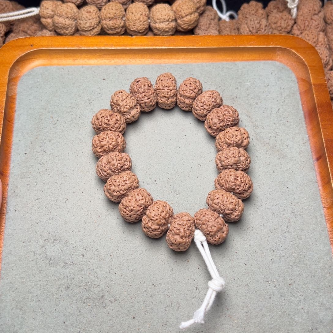 菩提15号金刚菩提蜂王夹板20