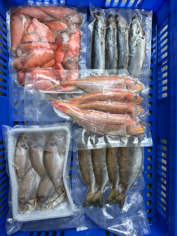 【潮汕资记】惠来县神泉港 鱼套餐  顺丰快递发货