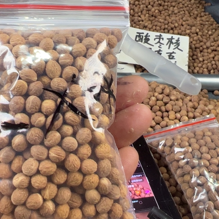 _***_凤眼菩提吊坠文玩酸枣核