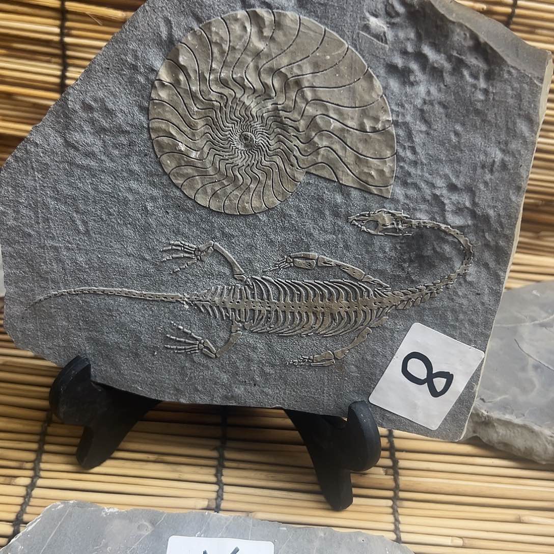 珠***源石材贵州沉积岩石头摆件