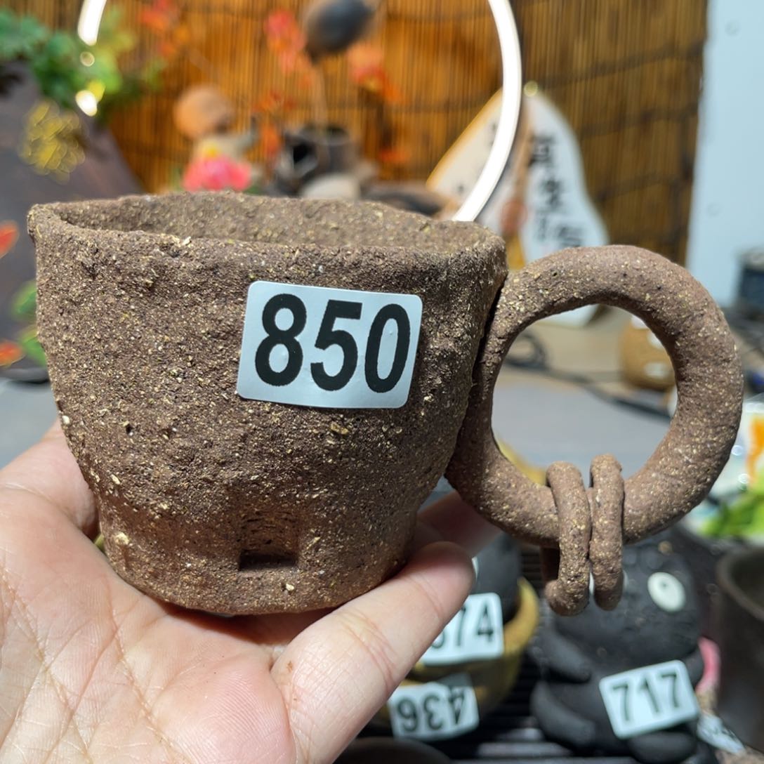 木村信弘柴烧保平