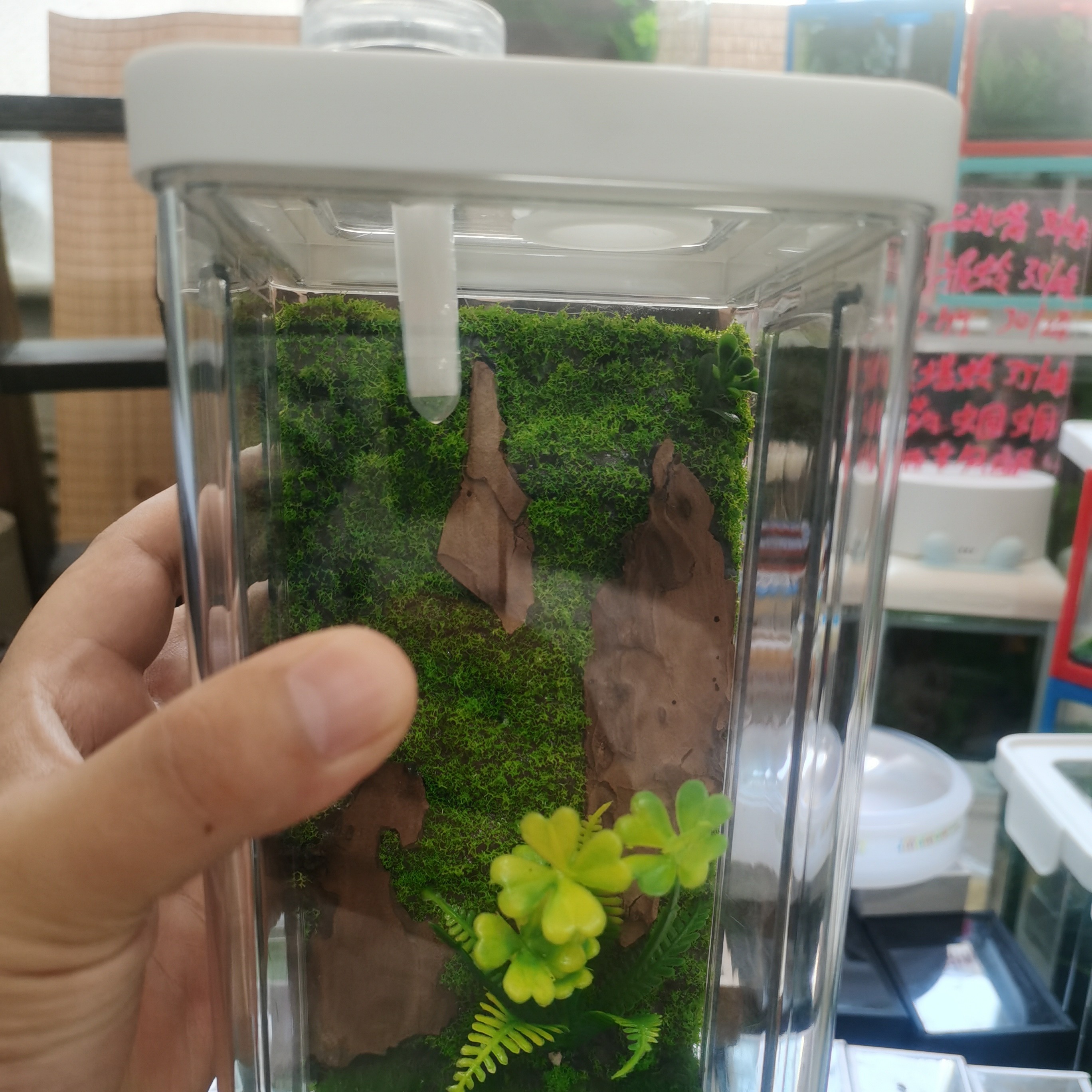 10*20带卡扣带加湿器小夜灯鸣虫生态箱